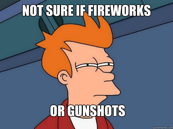 not sure if fireworks or gunshots  Futurama Fry
