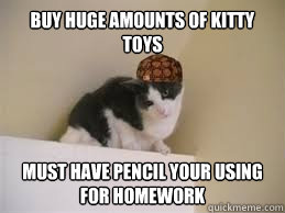 Buy huge amounts of kitty toys Must have pencil your using for homework  