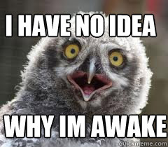 I have no idea  why im awake  Owls sleep at night