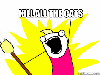 KILL ALL THE CATS   All The Things
