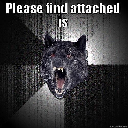 PLEASE FIND ATTACHED IS  Insanity Wolf
