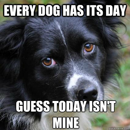 Every dog has its day guess today isn't mine - Every dog has its day guess today isn't mine  Misc