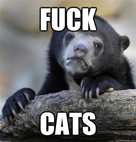 Fuck Cats  Confession Bear