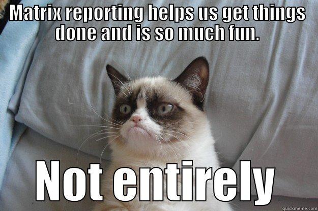 Grumpy Cat - MATRIX REPORTING HELPS US GET THINGS DONE AND IS SO MUCH FUN. NOT ENTIRELY Grumpy Cat