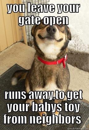 YOU LEAVE YOUR GATE OPEN RUNS AWAY,TO GET YOUR BABYS TOY FROM NEIGHBORS  Good Dog Greg