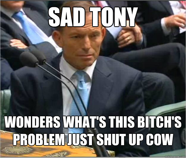 sad tony wonders what's this bitch's problem just shut up cow - sad tony wonders what's this bitch's problem just shut up cow  Misc