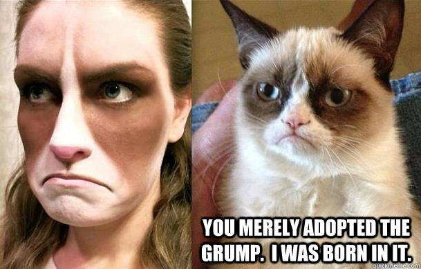 You merely adopted the grump.  I was born in it. - You merely adopted the grump.  I was born in it.  Misc