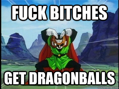 FUCK bitches get dragonballs  