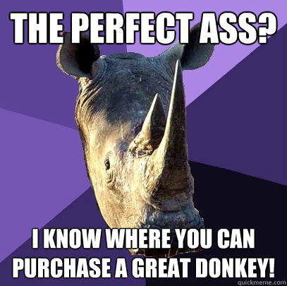 The perfect ass? I know where you can purchase a great donkey!  Sexually Oblivious Rhino