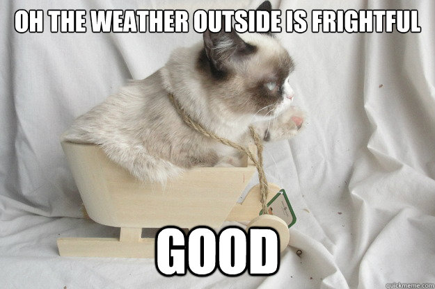 oh the weather outside is frightful good  grumpycat