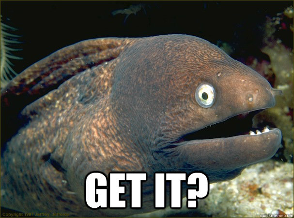  GET IT?  Bad Joke Eel