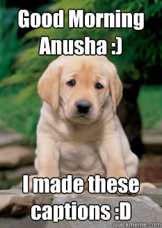 Good Morning Anusha :) I made these captions :D - Good Morning Anusha :) I made these captions :D  First World Puppy