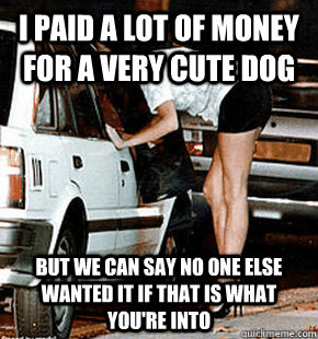 I paid a lot of money for a very cute dog But we can say no one else wanted it if that is what you're into - I paid a lot of money for a very cute dog But we can say no one else wanted it if that is what you're into  FB karma whore
