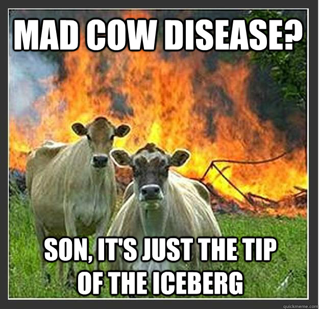 mad cow disease? Son, it's just the tip of the iceberg  Evil cows