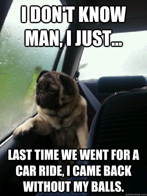 I don't know man, I just... last time we went for a car ride, I came back without my balls. - I don't know man, I just... last time we went for a car ride, I came back without my balls.  Introspective Pug