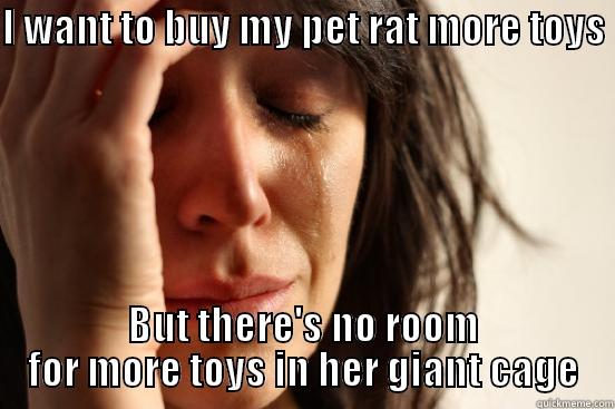 I WANT TO BUY MY PET RAT MORE TOYS  BUT THERE'S NO ROOM FOR MORE TOYS IN HER GIANT CAGE First World Problems