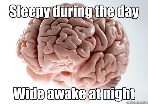 Sleepy during the day Wide awake at night  - Sleepy during the day Wide awake at night   Scumbag Brain