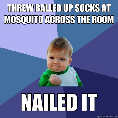 Threw balled up socks at mosquito across the room nailed it  Success Kid