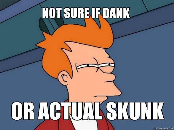 NOt Sure if dank or actual skunk  Futurama Fry