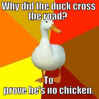 Duck Cross the Road Joke - WHY DID THE DUCK CROSS THE ROAD?  TO PROVE HE'S NO CHICKEN. Tech Impaired Duck
