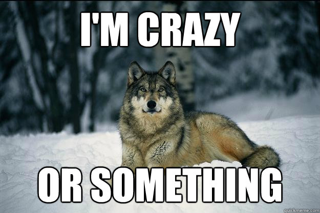 I'm CRAZY OR SOMETHING  Wolf