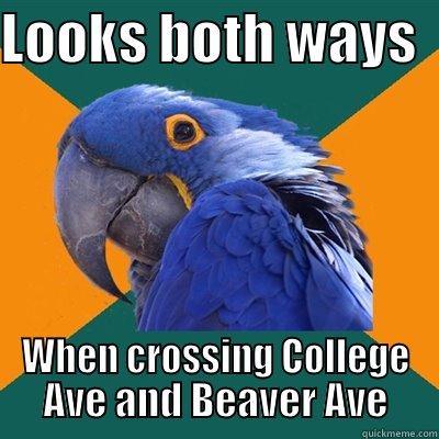 LOOKS BOTH WAYS   WHEN CROSSING COLLEGE AVE AND BEAVER AVE Paranoid Parrot