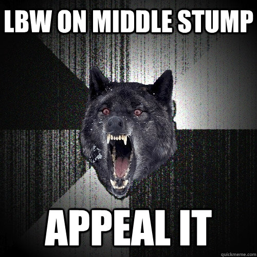 LBW ON MIDDLE STUMP APPEAL IT  Insanity Wolf