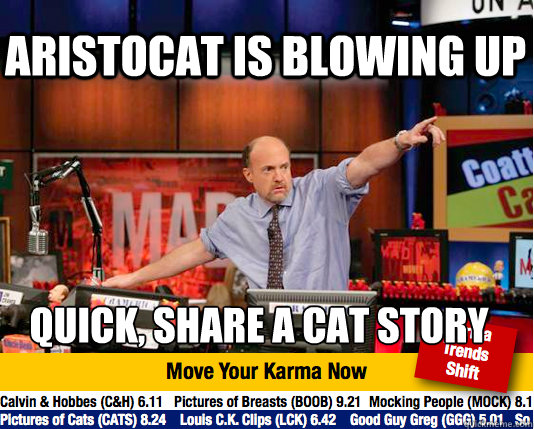Aristocat is blowing up Quick, share a cat story - Aristocat is blowing up Quick, share a cat story  Mad Karma with Jim Cramer