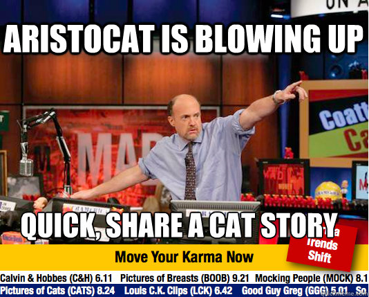 Aristocat is blowing up Quick, share a cat story  Mad Karma with Jim Cramer