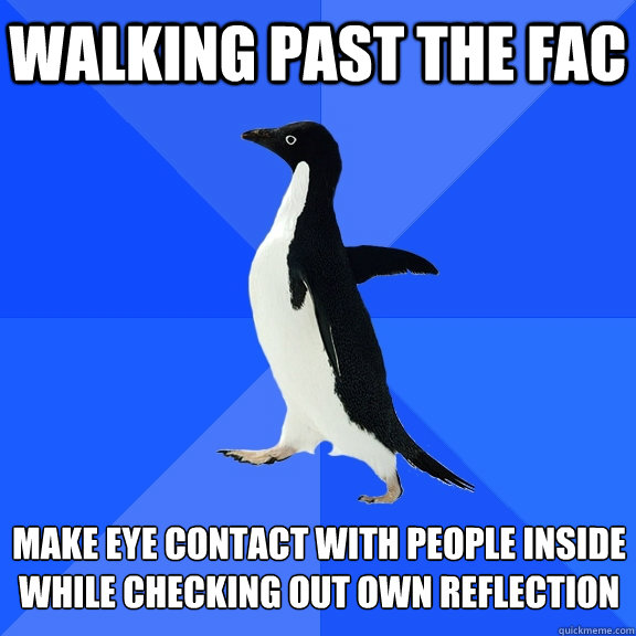 walking past the fac  make eye contact with people inside while checking out own reflection   Socially Awkward Penguin