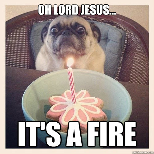 Oh lord Jesus... It's a fire  Scared birthday pug