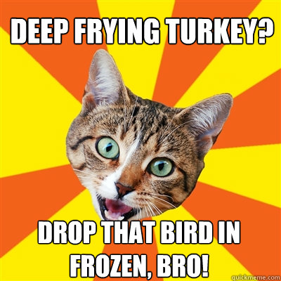 Deep frying turkey? Drop that bird in frozen, bro!  Bad Advice Cat