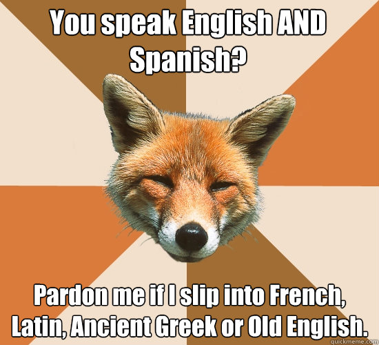 You speak English AND Spanish? Pardon me if I slip into French, Latin, Ancient Greek or Old English.  Condescending Fox