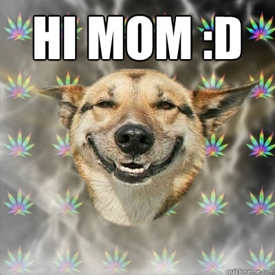 Hi Mom :D   Stoner Dog