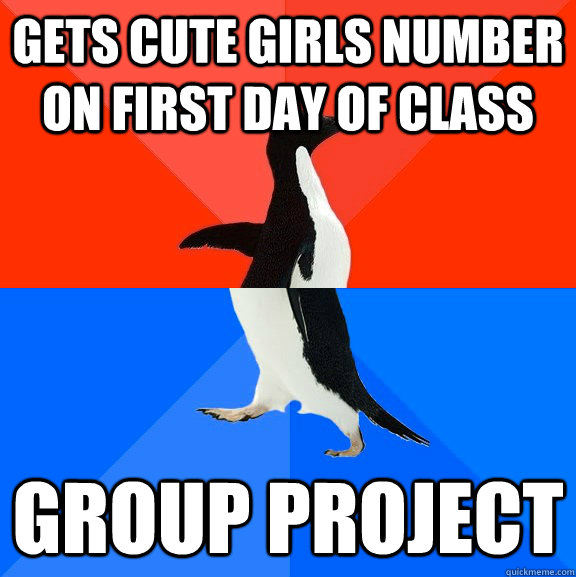 Gets cute girls number on first day of class group project  Socially Awesome Awkward Penguin