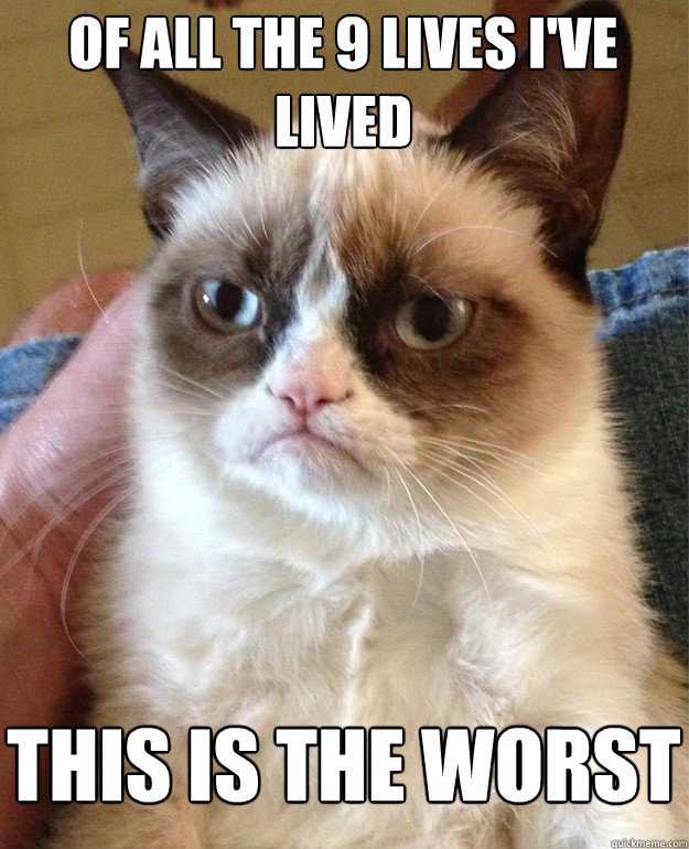 of all the 9 lives i've lived this is the worst  Tard cat shabbos