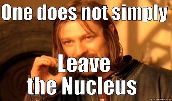 ONE DOES NOT SIMPLY  LEAVE THE NUCLEUS  Boromir