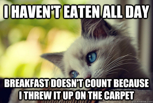 I haven't eaten all day breakfast doesn't count because I threw it up on the carpet  First World Problems Cat
