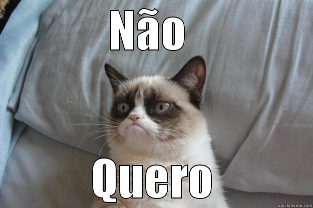 não quero - NÃO  QUERO Grumpy Cat