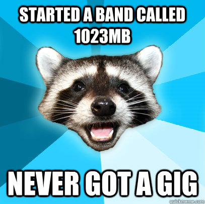 STARTED A BAND CALLED 1023MB NEVER GOT A GIG  Lame Pun Coon