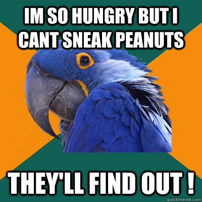 im so hungry but i cant sneak peanuts they'll find out !  Paranoid Parrot