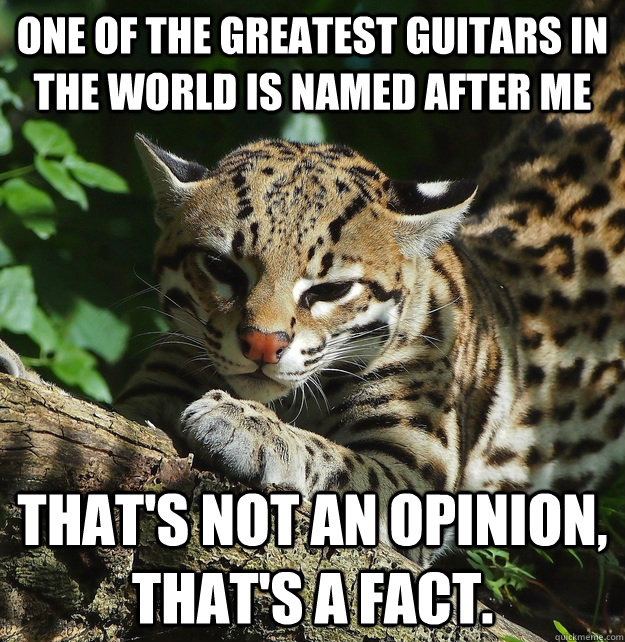 One of the greatest guitars in the world is named after me That's not an opinion, that's a fact. - One of the greatest guitars in the world is named after me That's not an opinion, that's a fact.  Opinion Ocelot