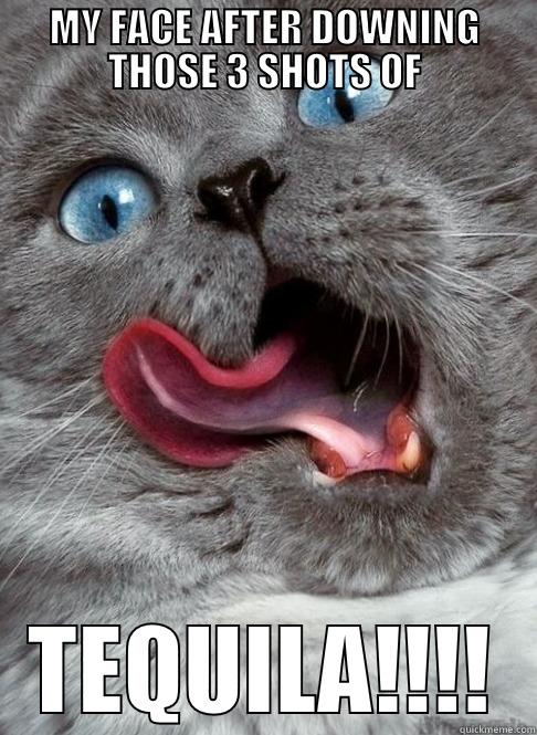 MY FACE AFTER DOWNING THOSE 3 SHOTS OF TEQUILA!!!! Misc