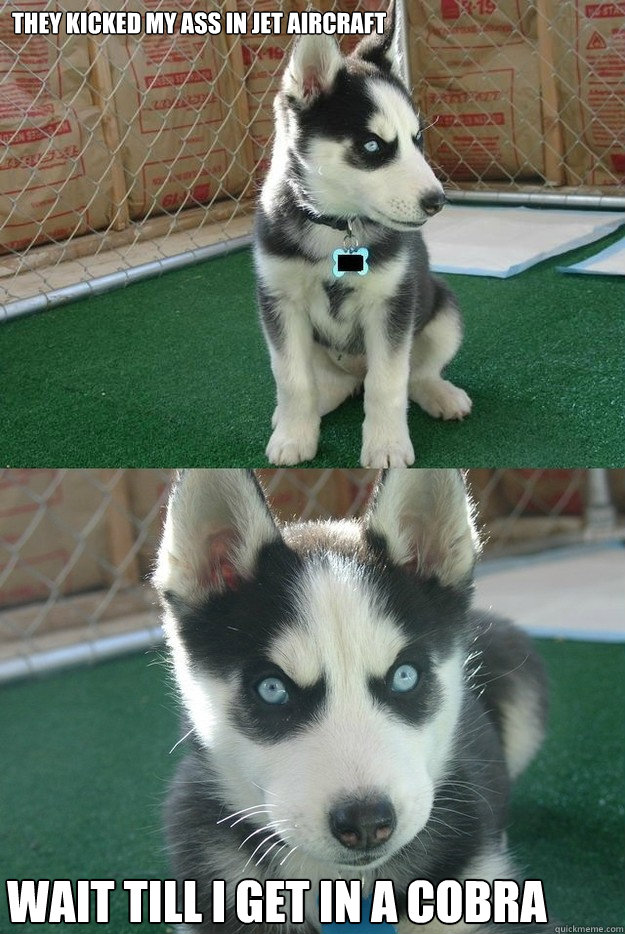 They kicked my ass in jet aircraft wait till i get in a cobra  Insanity puppy