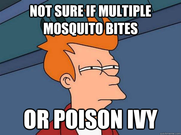 Not sure if multiple mosquito bites or poison ivy  Futurama Fry