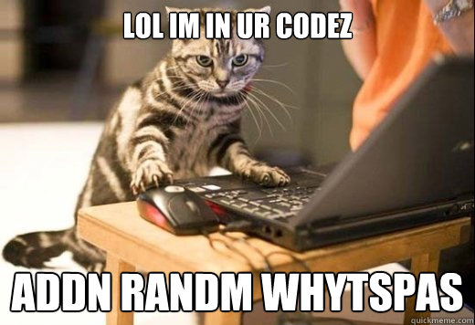 lol im in ur codez addn randm whytspas  Angry Computer Cat