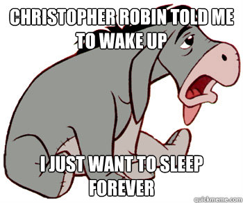 Christopher robin told me to wake up  i just want to sleep forever  Suicidal Eeyore