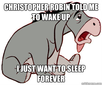 Christopher robin told me to wake up  i just want to sleep forever - Christopher robin told me to wake up  i just want to sleep forever  Suicidal Eeyore