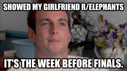 Showed my girlfriend r/elephants It's the week before Finals. - Showed my girlfriend r/elephants It's the week before Finals.  Ive Made a Huge Mistake