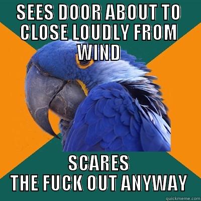 SEES DOOR ABOUT TO CLOSE LOUDLY FROM WIND SCARES THE FUCK OUT ANYWAY Paranoid Parrot